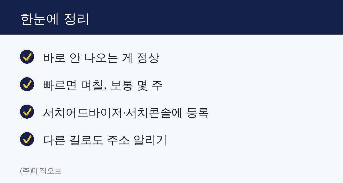 홈페이지 만들면 네이버·구글에 바로 나오나요? 한눈에 정리